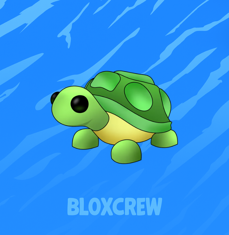 Turtle